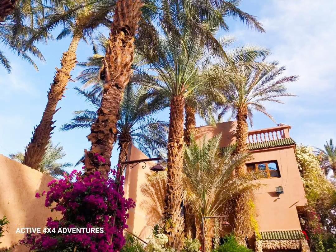 Chez Ali Hotel Zagora Exterior photo